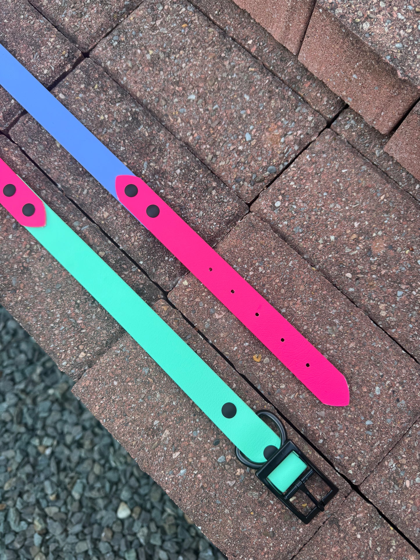 1" Biothane Buckle Dog Collar
