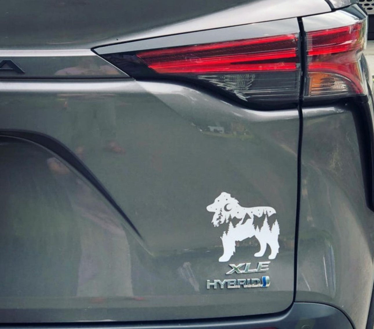 Adventure Australian Shepherd Decal