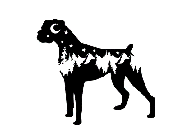 Adventure Boxer Decal
