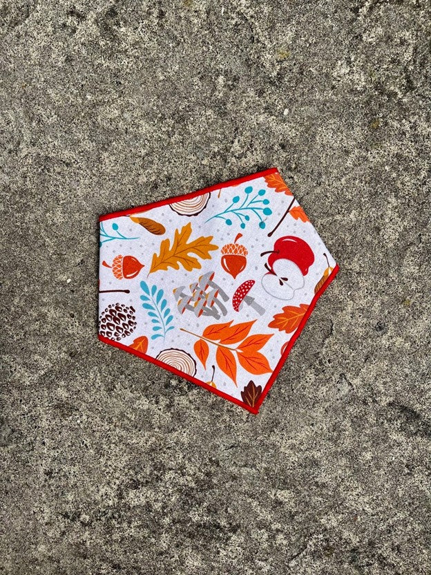 Autumn Themed Custom Dog Bandana