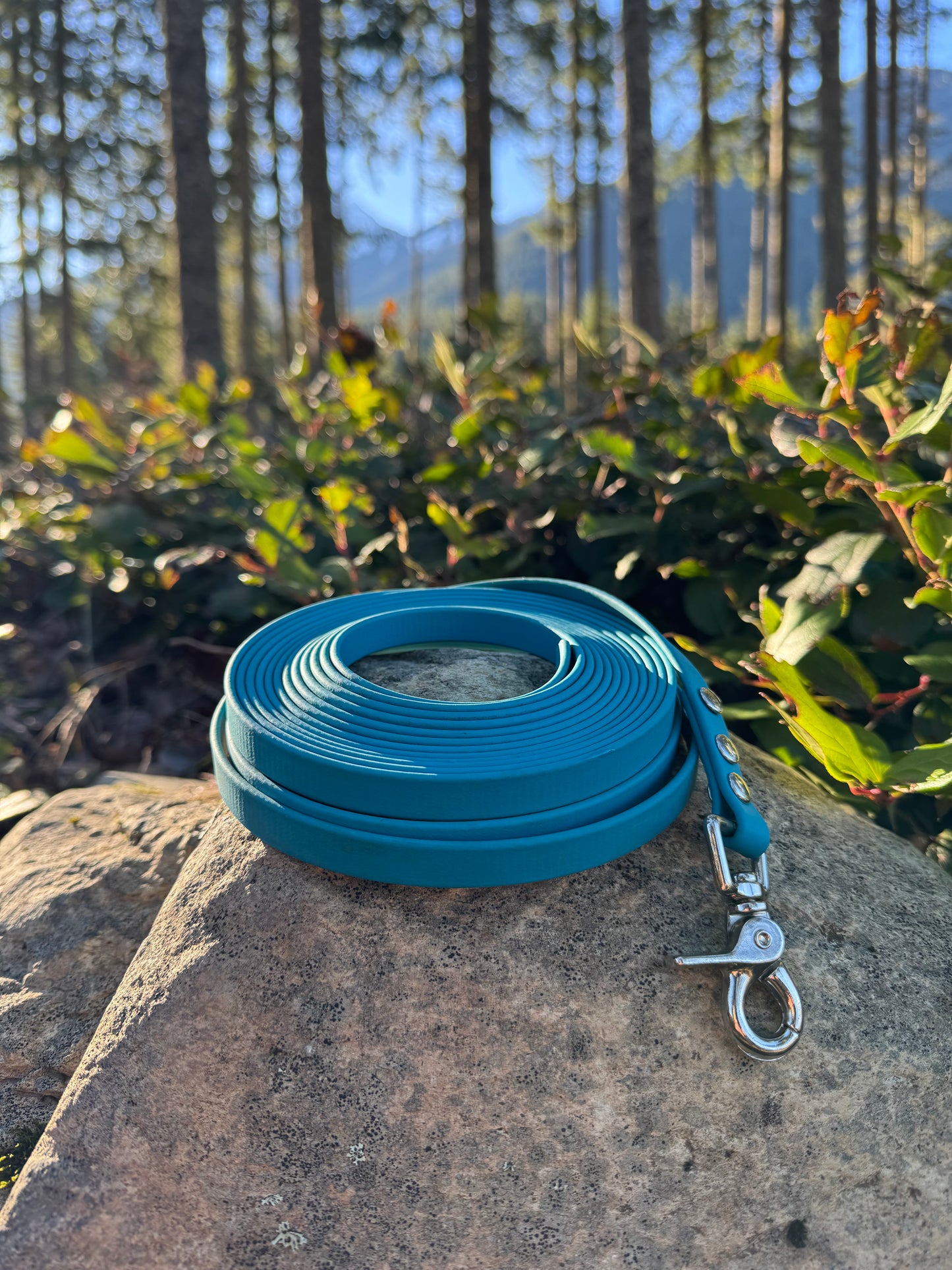 Custom Biothane Long Line - 1/2"