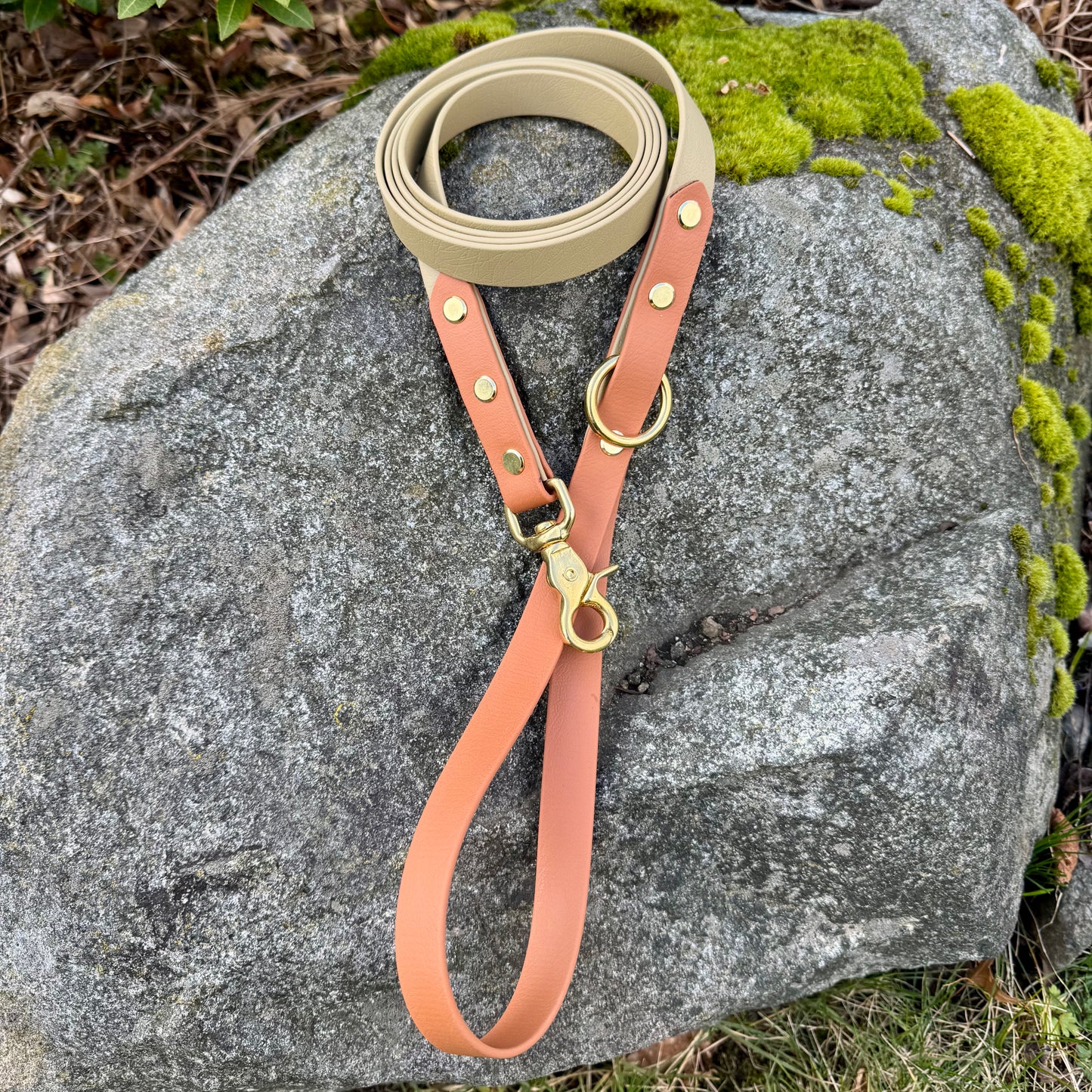 3/4" Two-Tone Leash - 4 ft. and up