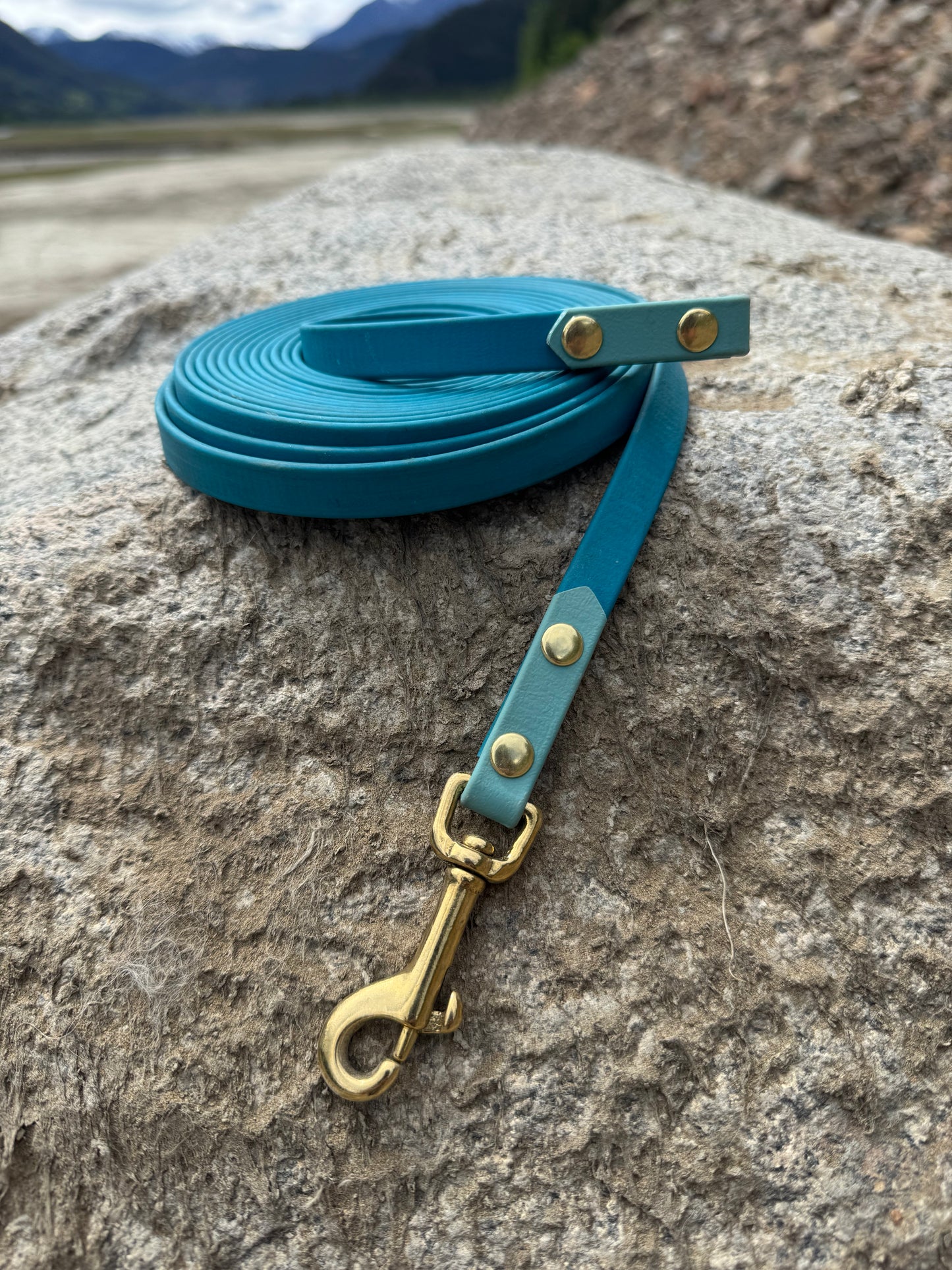 Custom Biothane Long Line - 1/2"