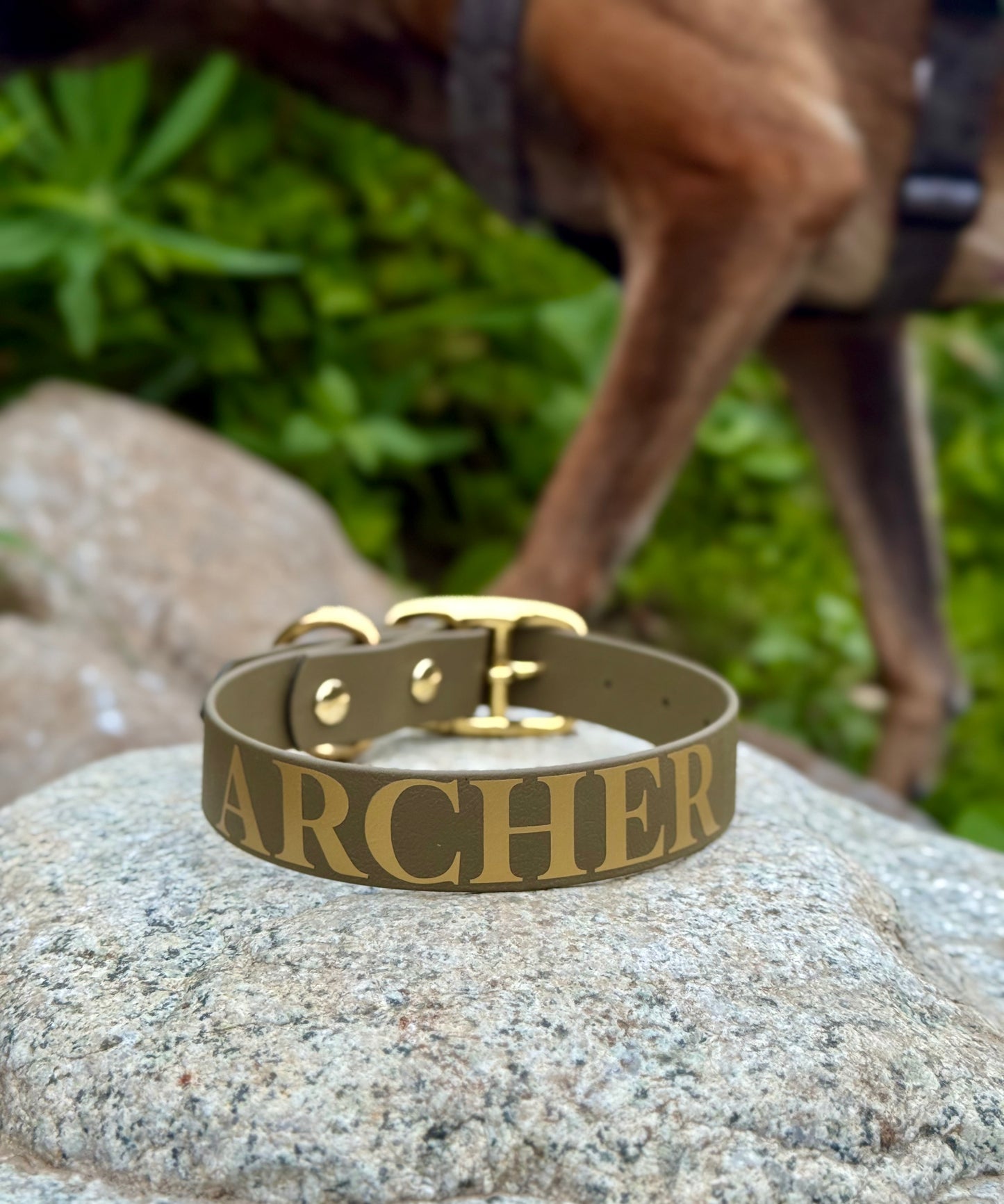1" Biothane Buckle Dog Collar