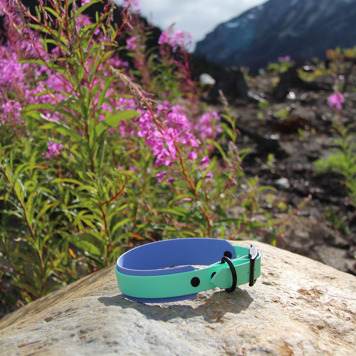 Double Layer 1.5" Biothane Collar