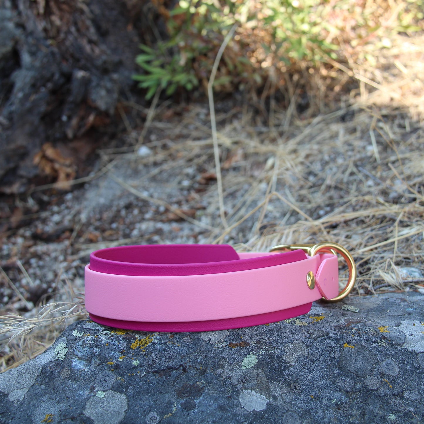 Double Layer 1.5" Biothane Collar