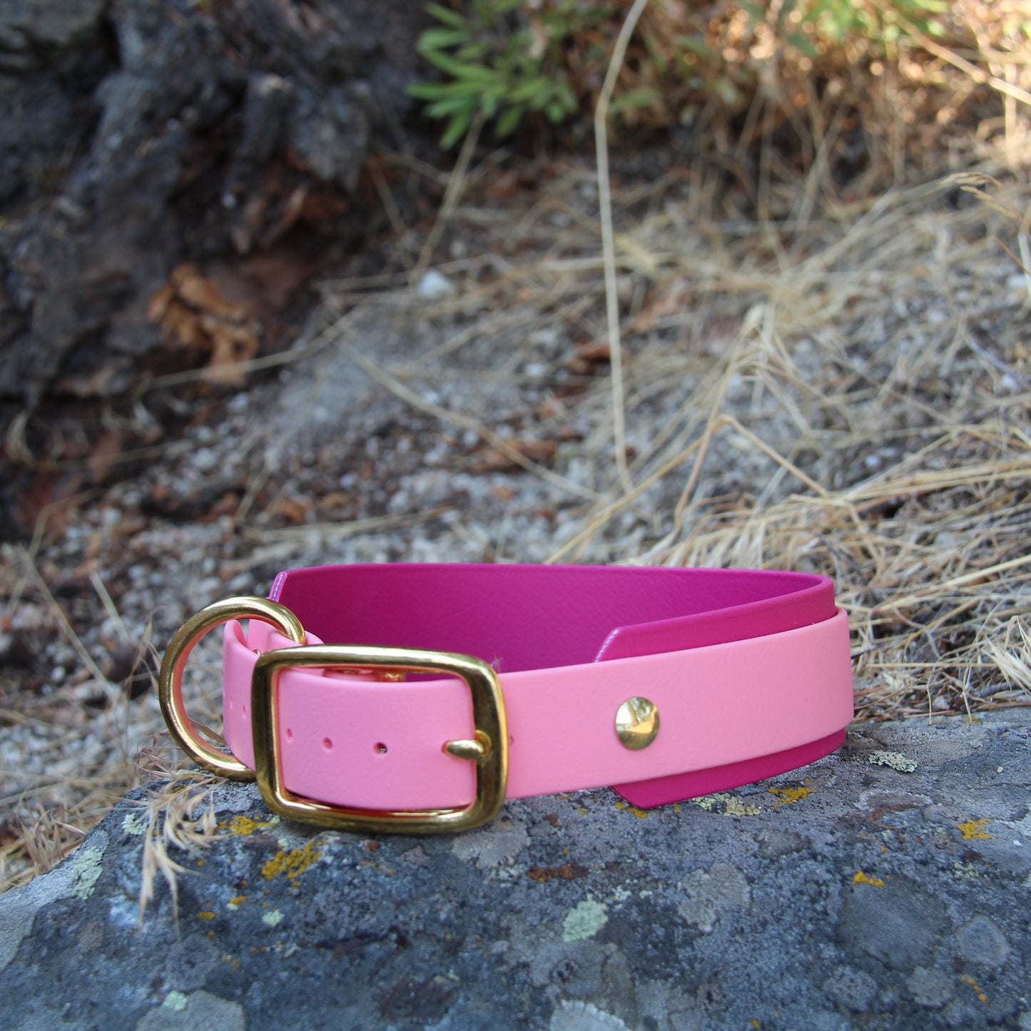 Double Layer 1.5" Biothane Collar