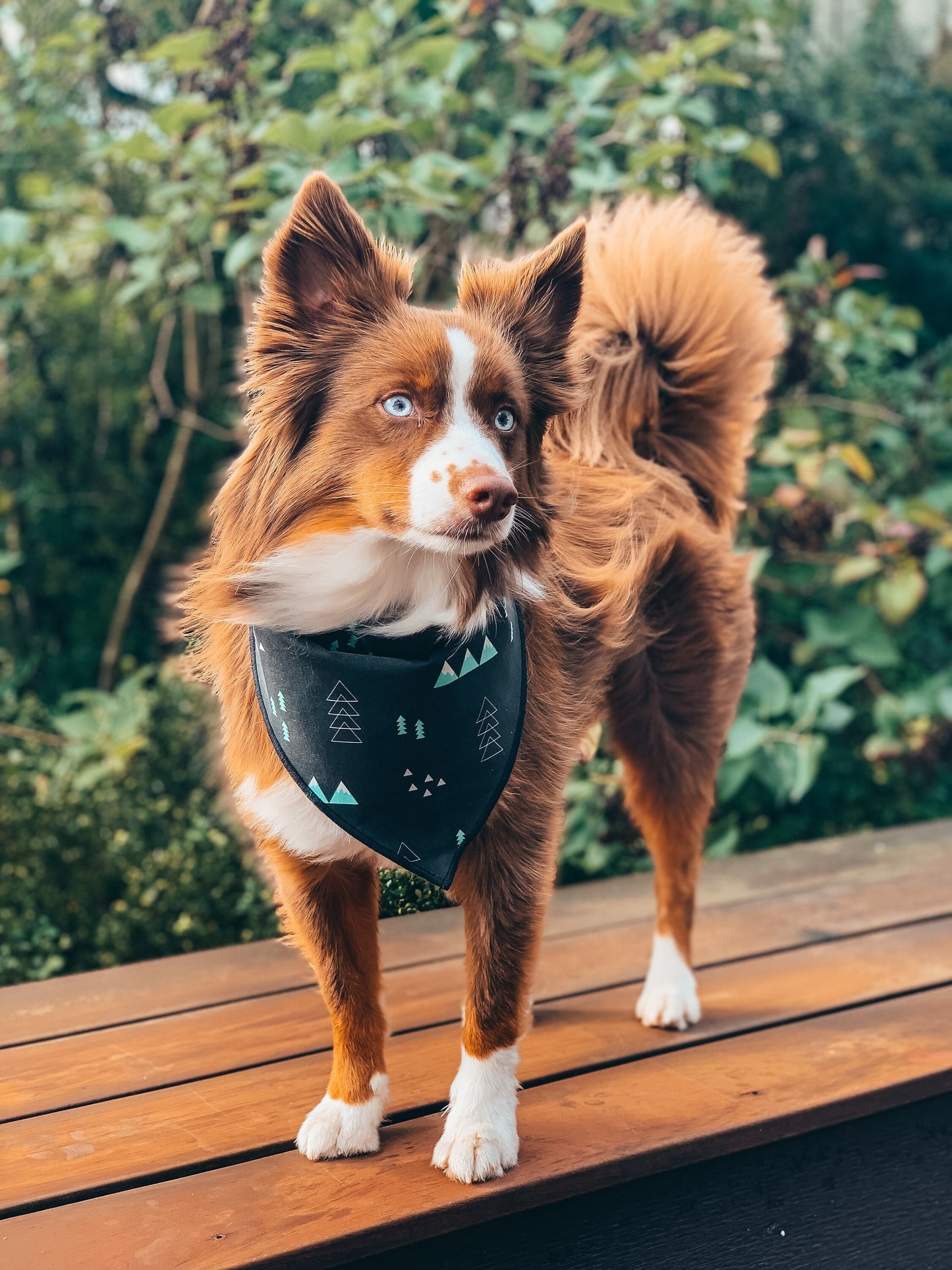 Dog Bandana Northwest Mountain Print // Adventure Dog Bandana // Snap on Dog Bandana // Mountain Print Bandana for Dogs