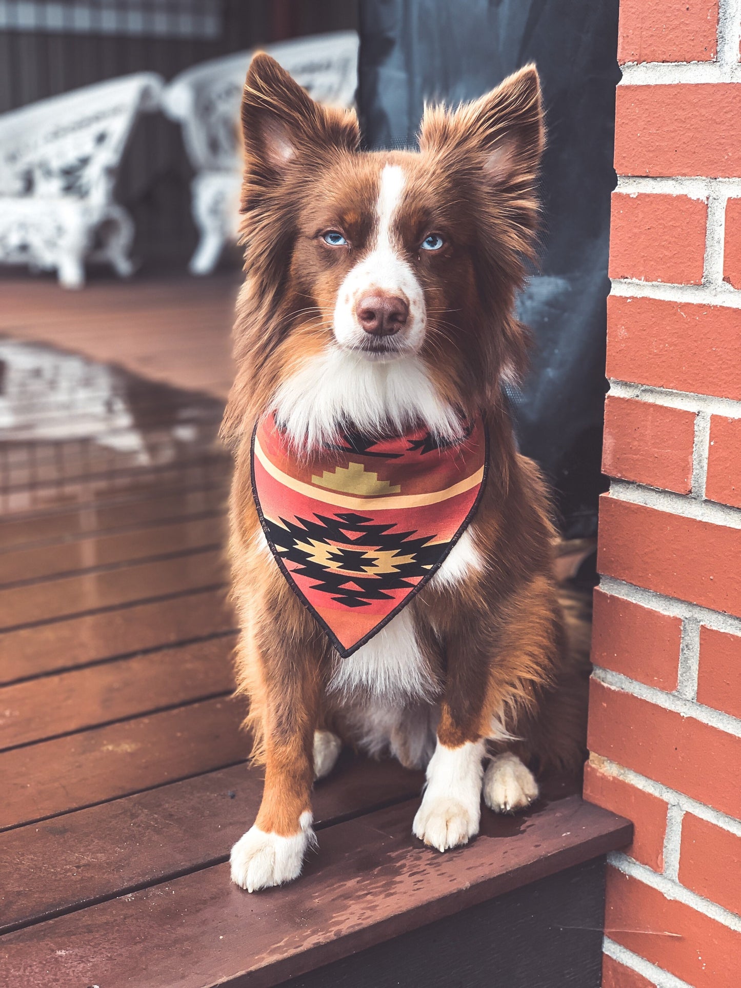 Dog Bandana Aztec orange and red // dog bandana fall collection // snap on dog bandana // Aztec bandana for dogs