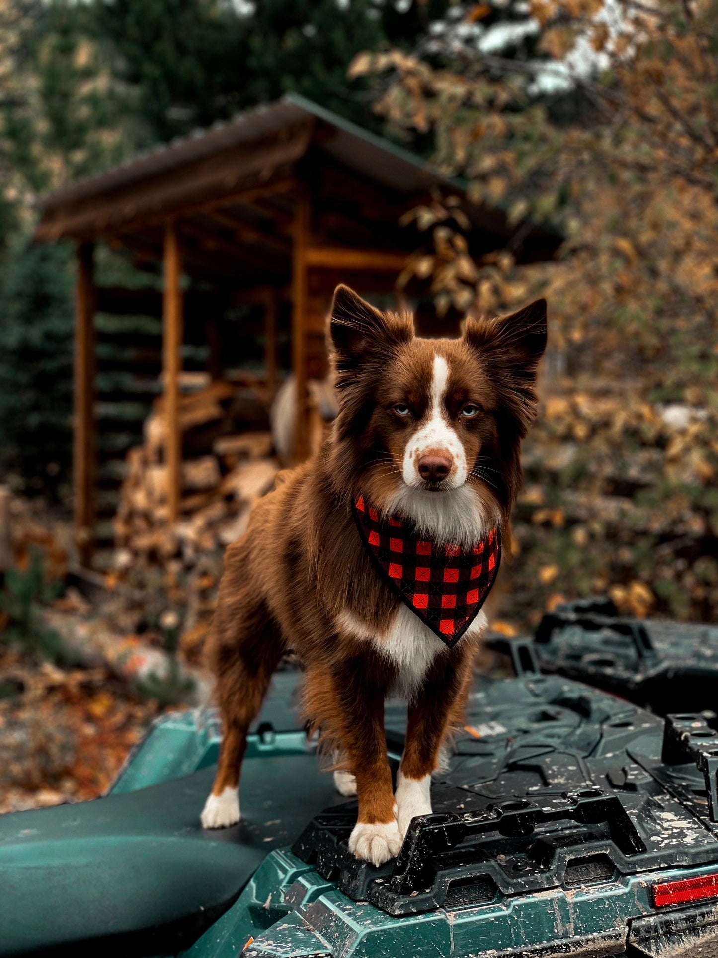Dog Bandana Red Plaid // Lumberjack Plaid dog bandana // Red plaid bandana for dogs // Snap on dog bandana