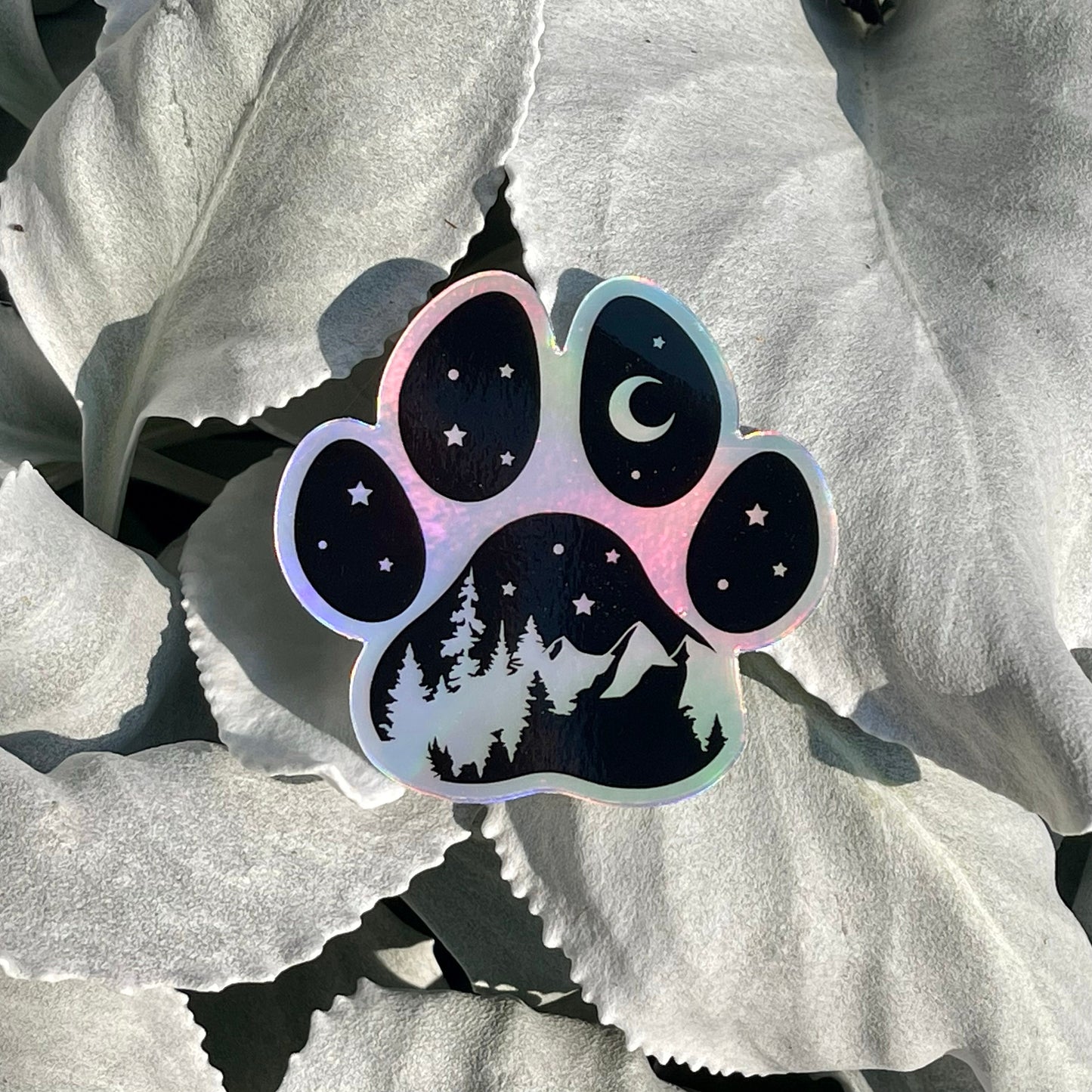 Holographic Adventure Paw Print, Dog Paw Print PNW holographic sticker, Nature dog sticker, Cat Paw Print, Adventure hydroflask sticker, PNW