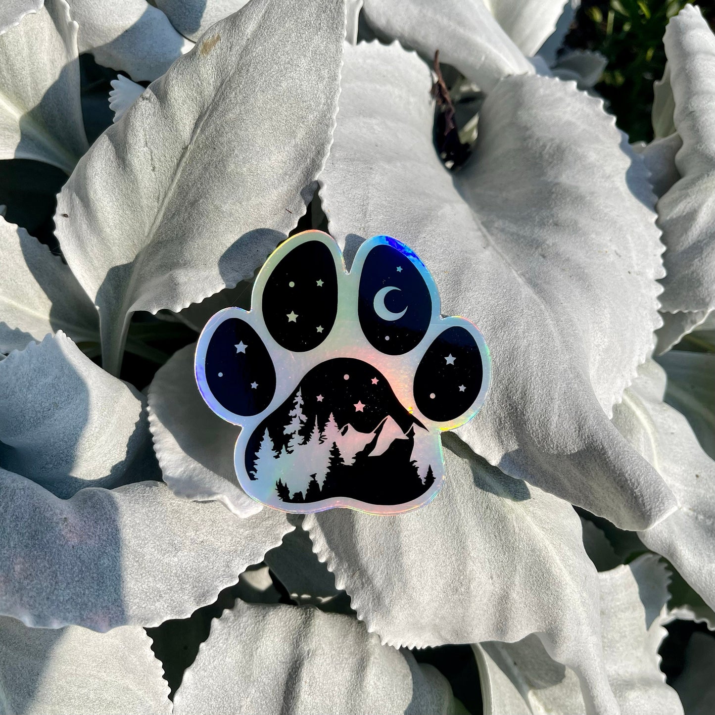 Holographic Adventure Paw Print, Dog Paw Print PNW holographic sticker, Nature dog sticker, Cat Paw Print, Adventure hydroflask sticker, PNW