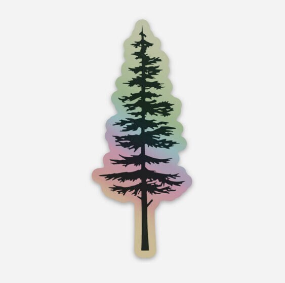 Holographic sitka tree sticker, Sitka Tree holographic sticker, Nature sticker, Adventure hydroflask sticker, PNW, Evergreen Sticker, Pine