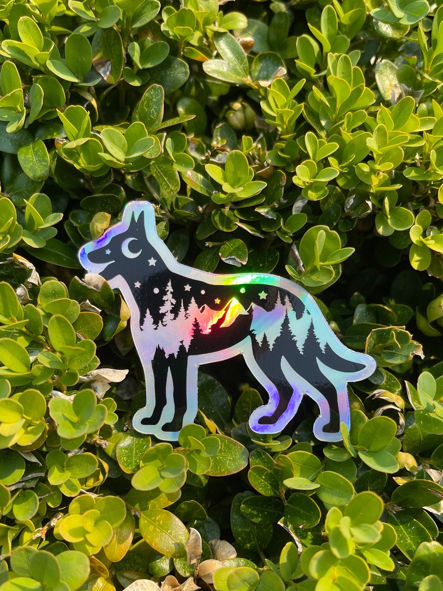 Holographic Adventure Belgian malinois sticker, makinois holographic sticker, Nature dog sticker, Adventure hydroflask sticker, PNW