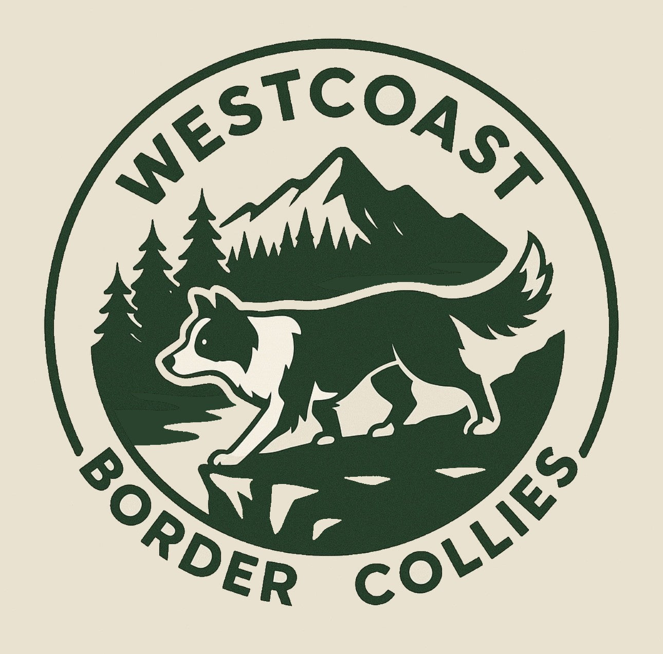 West Coast Border Collies