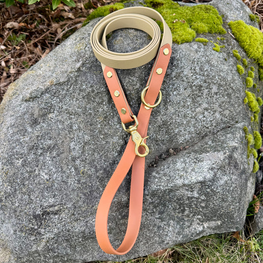 3/4" Two-Tone Leash - 4 ft. and up