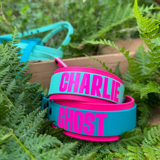 Double Layer 1.5" Biothane Collar *CUSTOM TEXT*