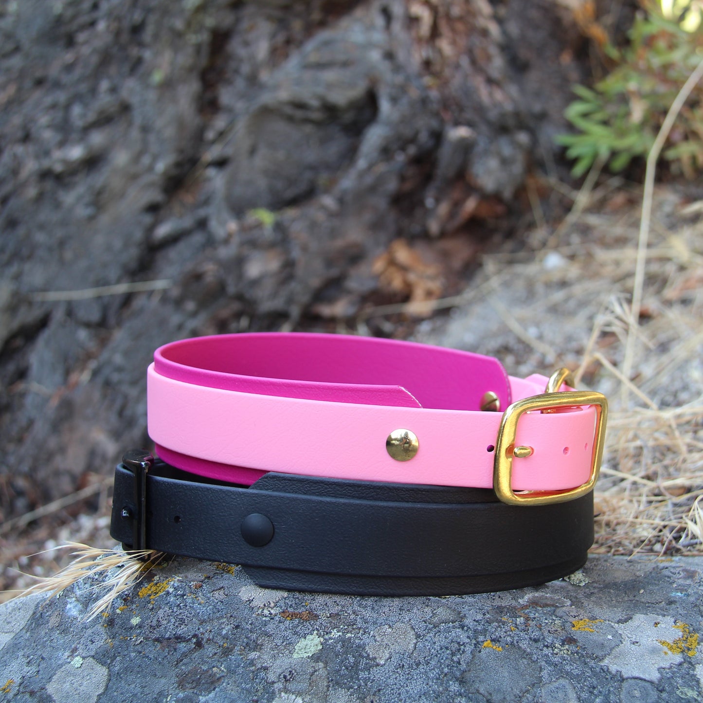 Double Layer 1.5" Biothane Collar
