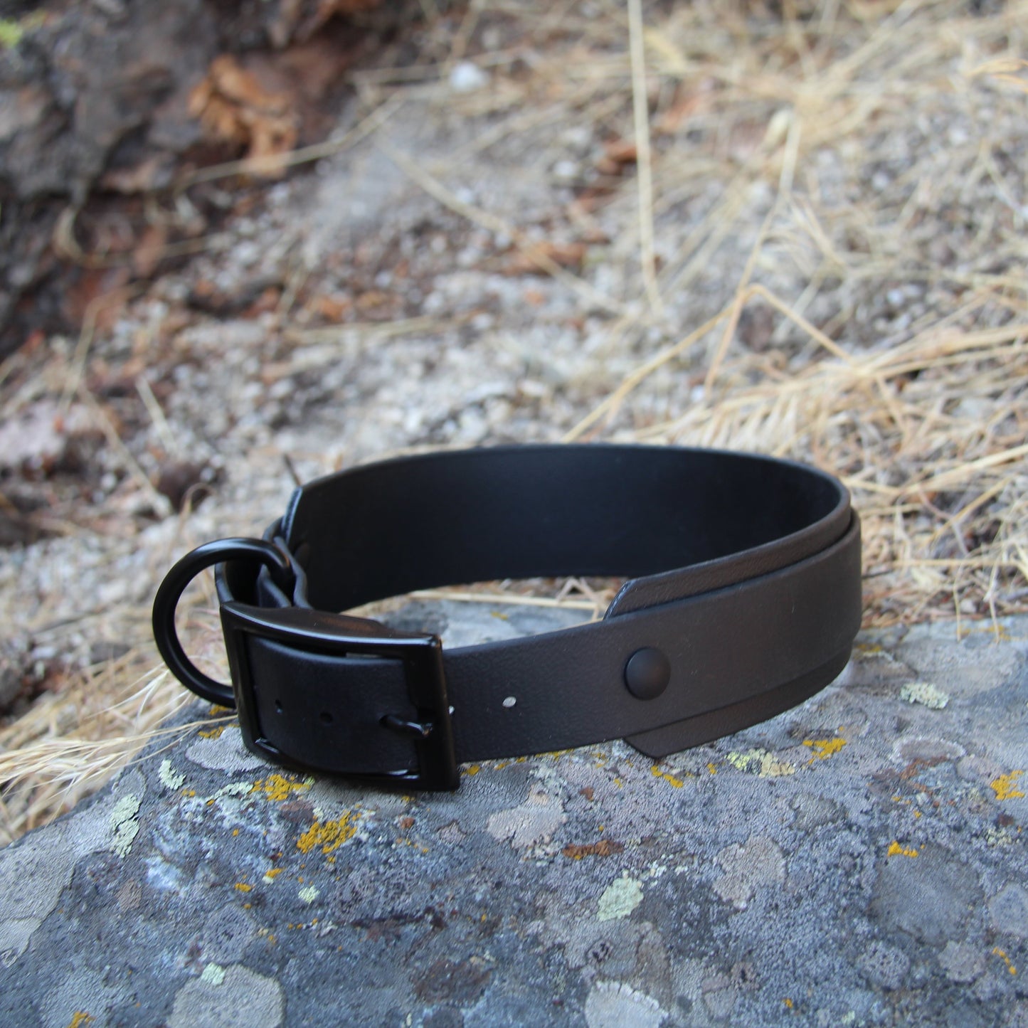 Double Layer 1.5" Biothane Collar