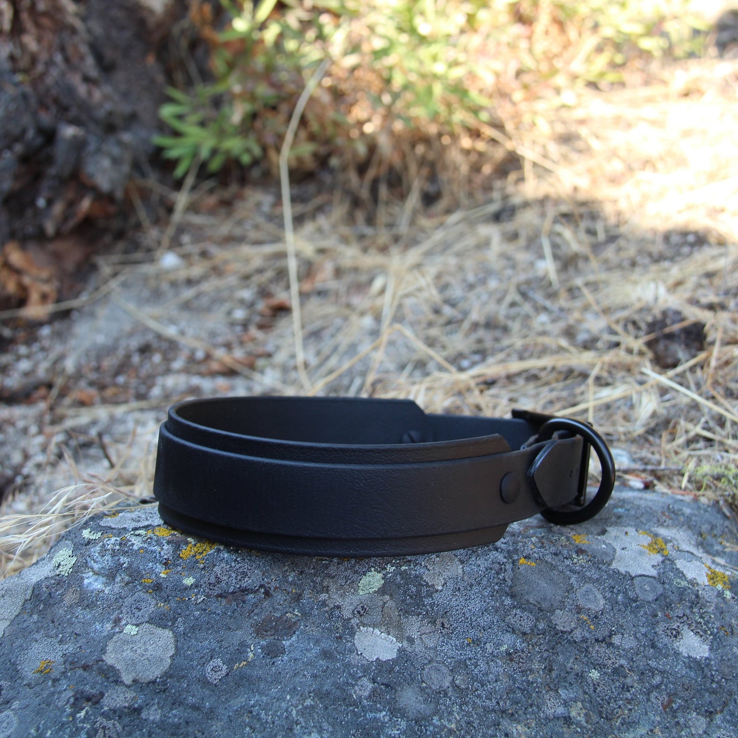 Double Layer 1.5" Biothane Collar