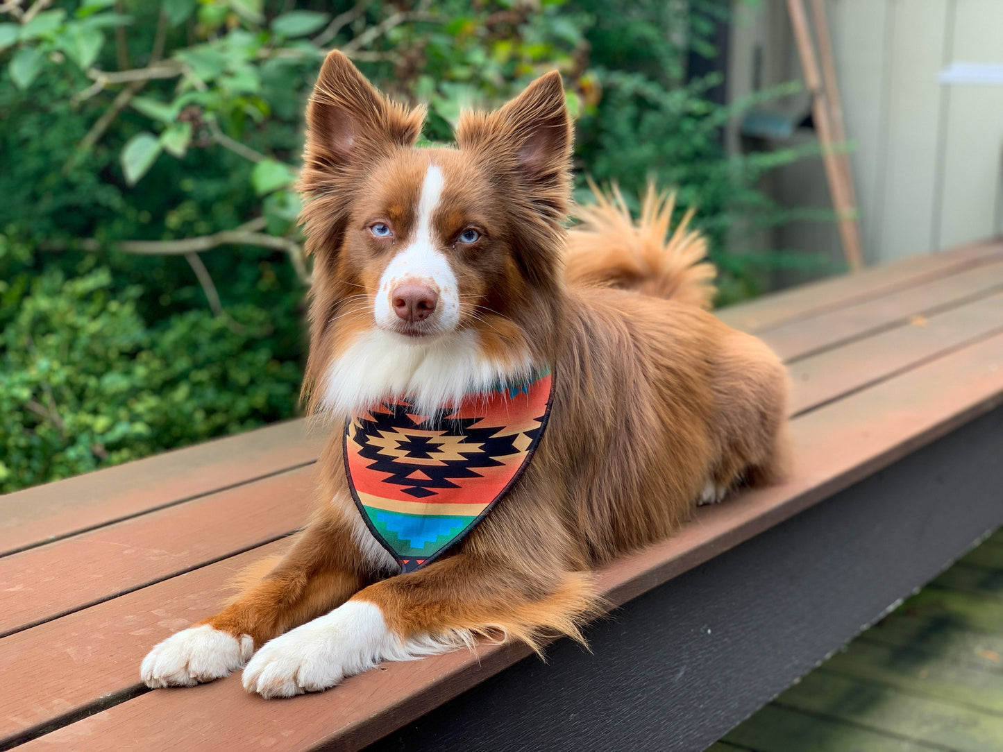 Aztec Print Dog Bandana // Fall Dog Bandana // Autumn Dog Bandana // Tribal Print Dog Bandana // Geometric Dog Bandana