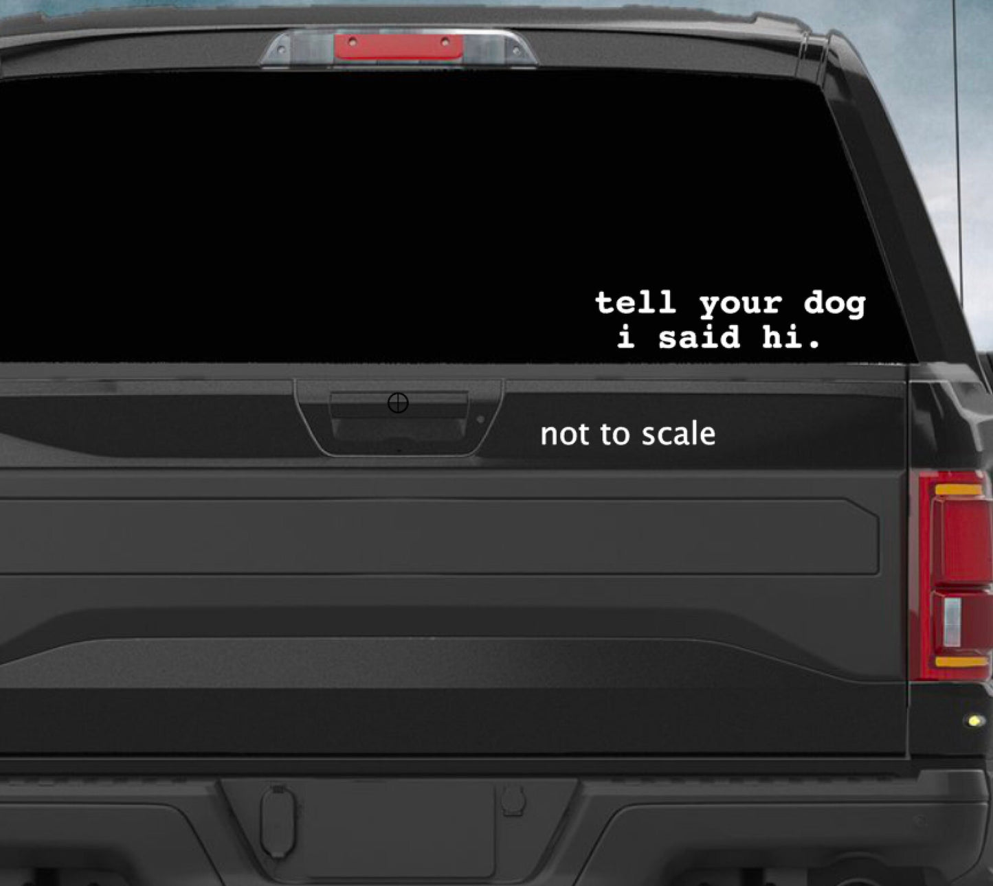 Tell Your Cat I Said Pspsps vehicle decal, tell your cat I said hi bumper sticker, cat mom decal, cat sticker, dog bumper sticker, cat lover