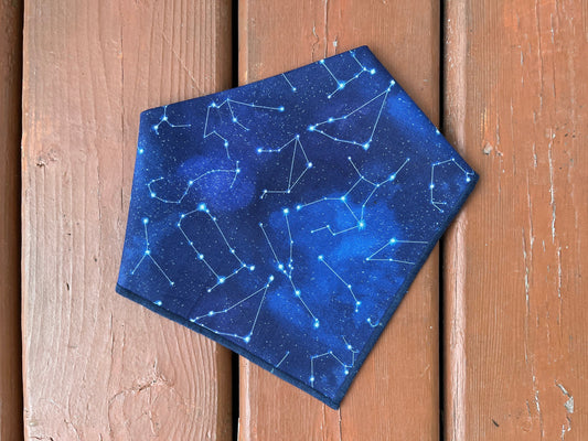 Dog Bandana Constellation Bandana // PNW Dog Bandana // Outer space Dog Bandana // Nature Dog Bandana // Snap On Dog Bandana // Dog Scarf